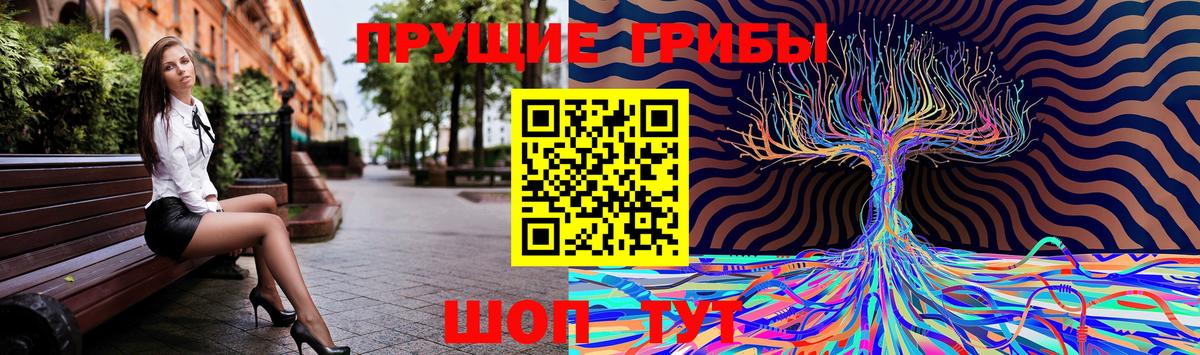 Галлюциногенные грибы Cubensis Амурск